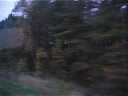 2004_10__059.mov